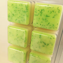 Load image into Gallery viewer, Merman Wax Melts Lemon Lime - Gypsy Rose Cosmetics
