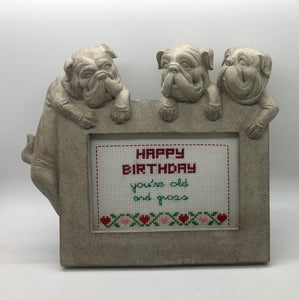 Happy birthday you're old and gross-  vulgar cross stitch crossstitch