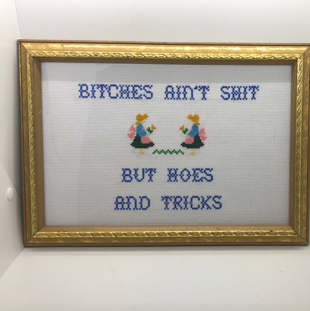 Bitches ain’t shit but hoes and tricks-naughty vulgar cross stitch crossstitch