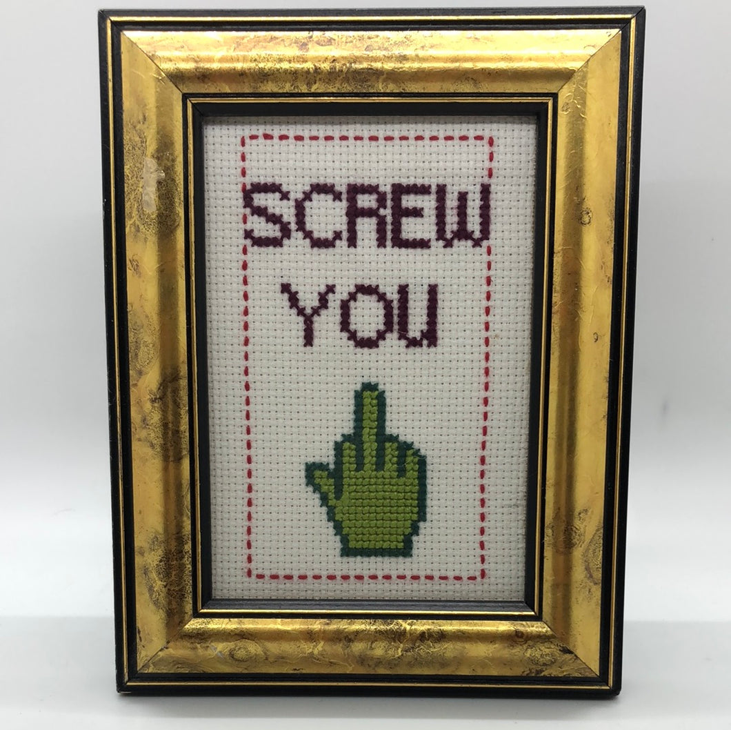 Screw you- naughty vulgar cross stitch crossstitch
