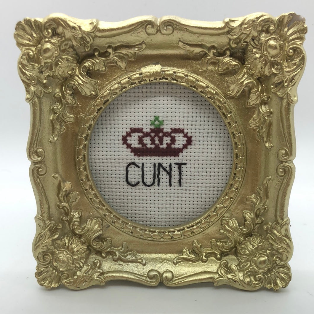 Cunt - naughty vulgar cross stitch crossstitch